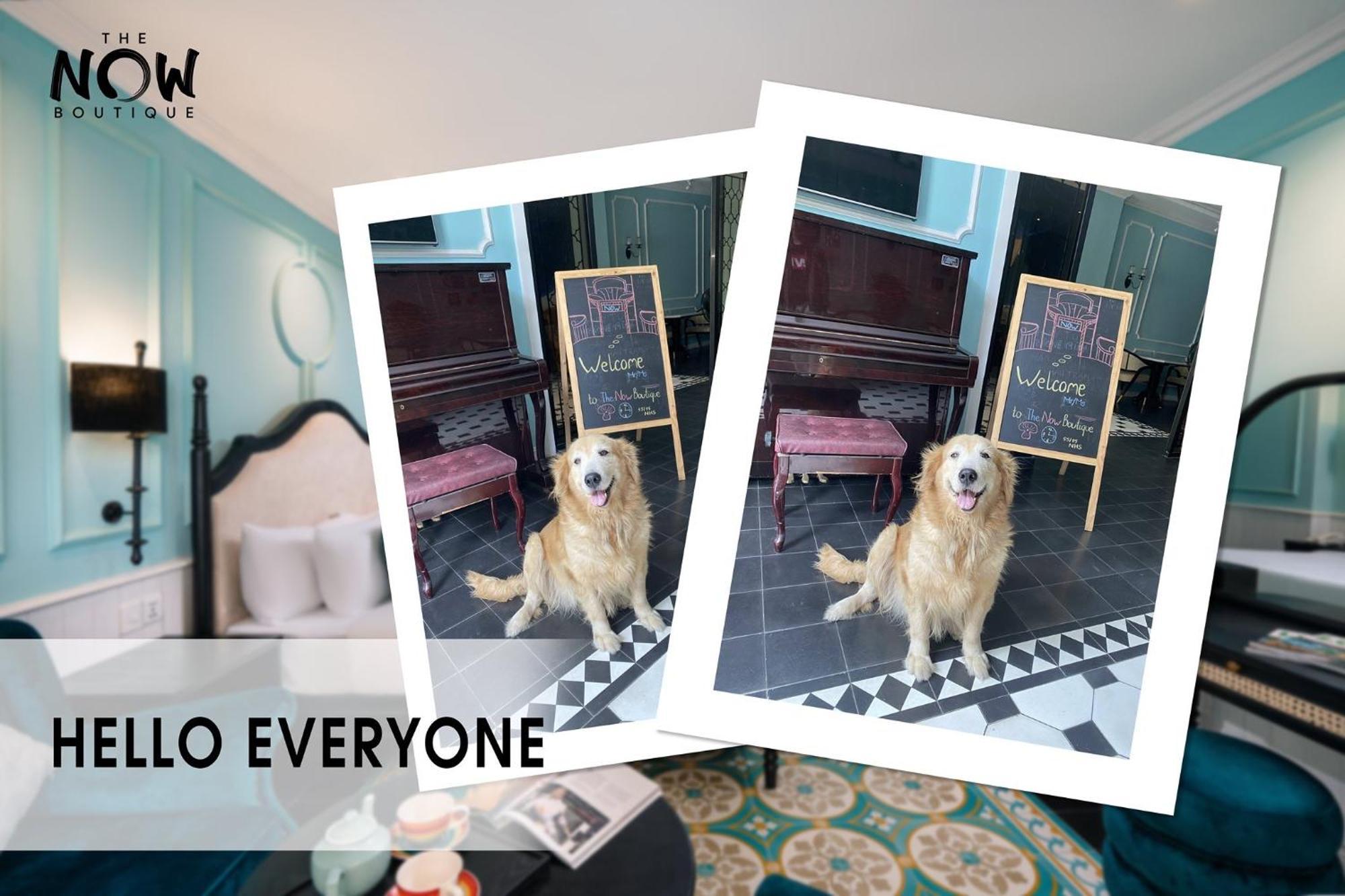 The Now Boutique Hotel & Apartment Da Nang Buitenkant foto